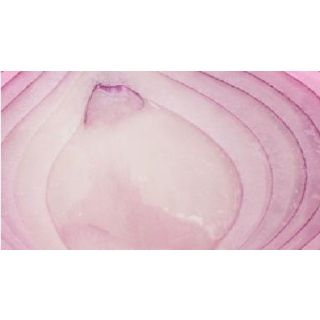 Compra CEBOLLA FIGUERAS MB50 en la tienda online Fito Agrícola