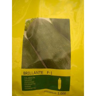 Compra CALABACÍN BRILLANTE F1 (1.000 Semillas) en la tienda online Fito Agrícola
