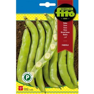 Compra HABA FABIOLA (25 Semillas). en la tienda online Fito Agrícola