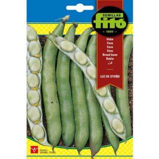 Compra HABA LUZ DE OTOÑO (25 Semillas). en la tienda online Fito Agrícola