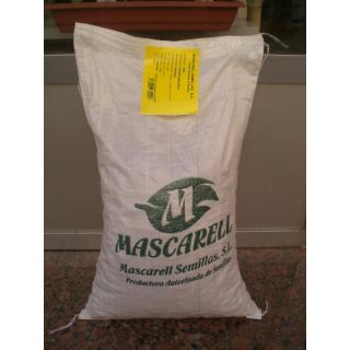 Compra HABA SUPERSIMONIA Sel. Medina (5 Kgr.). en la tienda online Fito Agrícola