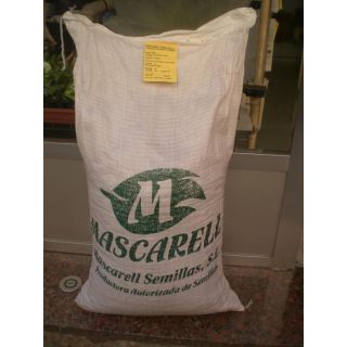 Compra HABA SUPERSIMONIA Sel. Medina (25 Kgr.). en la tienda online Fito Agrícola