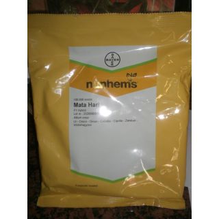Compra CEBOLLA MATA HARI F1 (100.000 Semillas) en la tienda online Fito Agrícola