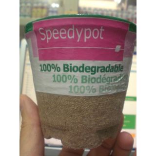 Compra SPEEDYPOT, 10 cm. alto x 9 cm. Ø, 4 agujeros (1 Unid.). en la tienda online Fito Agrícola
