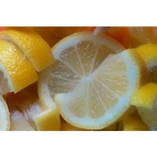 Compra LIMONERO FINO 95 - 17 en la tienda online Fito Agrícola