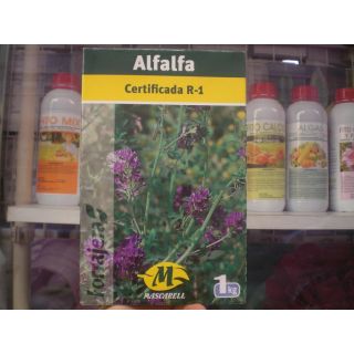 Compra ALFALFA GEA R-1 Inoculada (1 Kgr.). en la tienda online Fito Agrícola