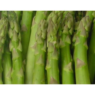 Compra ESPÁRRAGO F1 EPS 104 en la tienda online Fito Agrícola