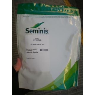 Compra CEBOLLA STRATUS (100.000 Semillas). en la tienda online Fito Agrícola