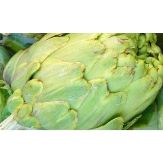 Compra ALCACHOFA VERDE ECOLÓGICA ME11 en la tienda online Fito Agrícola