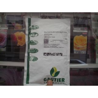 Compra JUDÍA VESPERAL (1.000 Semillas). en la tienda online Fito Agrícola