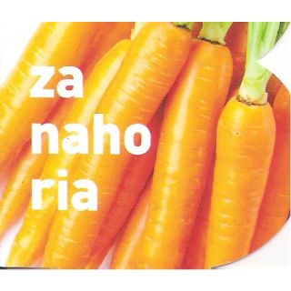 Compra ZANAHORIA ECOLOGICA MSE6 en la tienda online Fito Agrícola