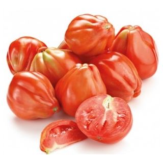 Compra TOMATE CUOR DI BUE ECOLÓGICO MSE6 en la tienda online Fito Agrícola