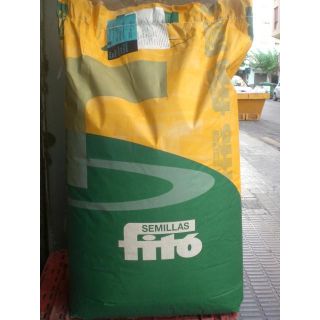 Compra HABA FABIOLA (20.000 Semillas) en la tienda online Fito Agrícola