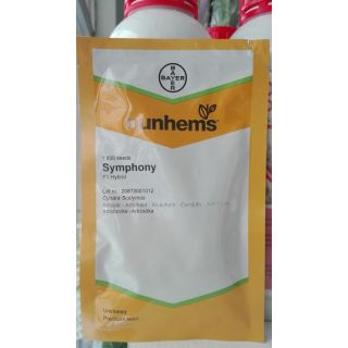 Compra ALCACHOFA SYMPHONY F1 (1.000 Semillas) en la tienda online Fito Agrícola
