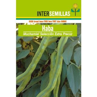 Compra HABA MUCHAMIEL EXTRA PRECOZ Sel. Intersemillas (1 Kgr.) en la tienda online Fito Agrícola