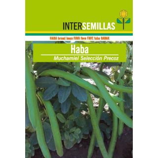Compra HABA MUCHAMIEL PRECOZ Sel. Intersemillas (1 Kg.) en la tienda online Fito Agrícola