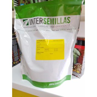 Compra CANÓNIGO VERDE DE CAMBRAI BABY LEAF (500 gr.). en la tienda online Fito Agrícola