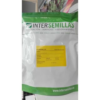 Compra CILANTRO SLOWBOLT (500 gr.). en la tienda online Fito Agrícola