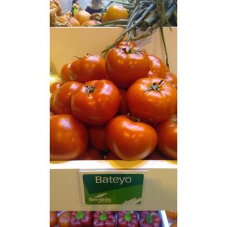 Compra TOMATE BATEYO F-1 (1000 Semillas) en la tienda online Fito Agrícola
