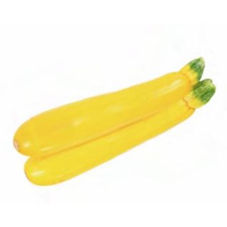 Compra CALABACÍN AMARILLO M11 en la tienda online Fito Agrícola
