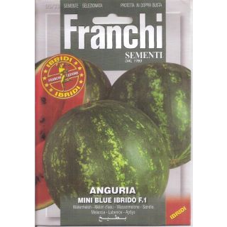 Compra SANDÍA MINI BLUE F-1 (0,25 gr.). en la tienda online Fito Agrícola