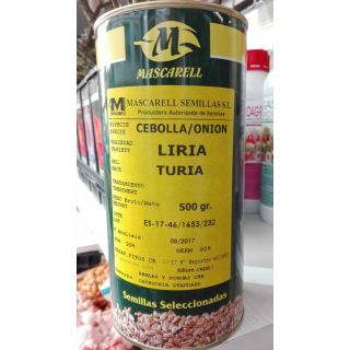 Compra CEBOLLA LIRIA - Sel. Túria (500 gr.). en la tienda online Fito Agrícola