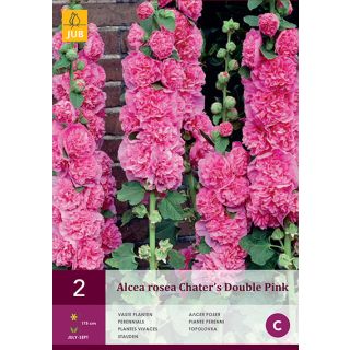 Compra ALCEA ROSEA PINK en la tienda online Fito Agrícola
