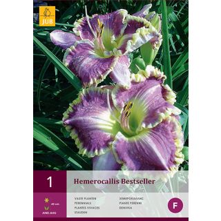 Compra HEMEROCALLIS BESTSELLER en la tienda online Fito Agrícola