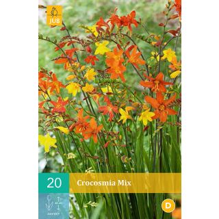 Compra CROCOSMIA MIX en la tienda online Fito Agrícola