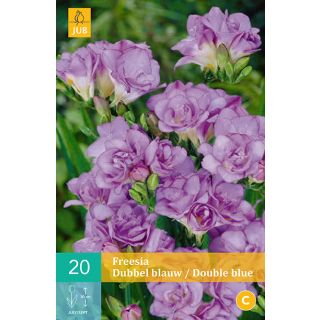 Compra FREESIA DOBLE BLUE en la tienda online Fito Agrícola