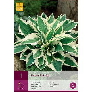 Compra HOSTA PATRIOT en la tienda online Fito Agrícola