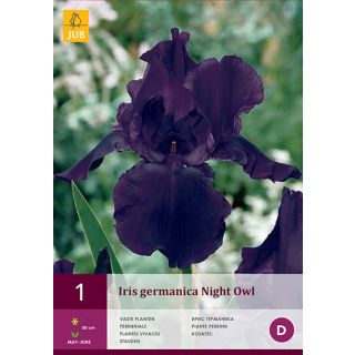 Compra IRIS GERMANICA NIGHT OWL en la tienda online Fito Agrícola