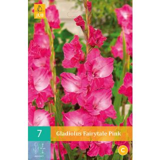 Compra GLADIOLO FAIRYTALE PINK en la tienda online Fito Agrícola