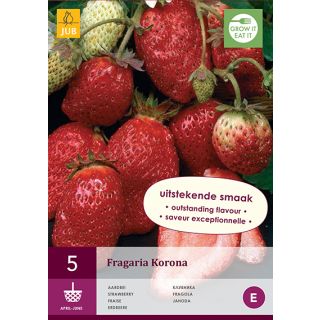 Compra FRESA KORONA (5 Unid.). en la tienda online Fito Agrícola
