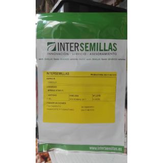 Compra CEBOLLA SPRING STAR F1 (5.000 Semillas) en la tienda online Fito Agrícola