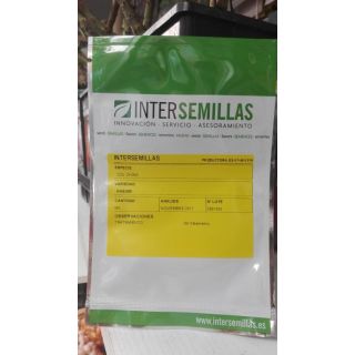 Compra COL CHINA MISUCA F1 (1.000 Semillas) en la tienda online Fito Agrícola