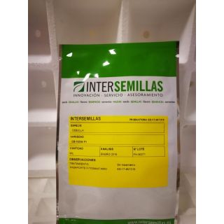 Compra CEBOLLA SOUTHPORT WHITE GLOBE F1 (5.000 Semillas) en la tienda online Fito Agrícola