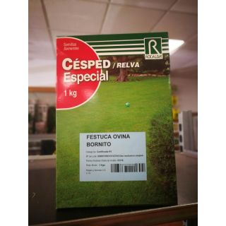 Compra FESTUCA OVINA BORNITO (1 Kgr.). en la tienda online Fito Agrícola