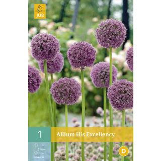 Compra ALLIUM HIS EXCELLENCY en la tienda online Fito Agrícola