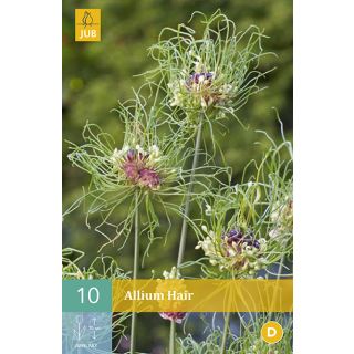 Compra ALLIUM HAIR en la tienda online Fito Agrícola