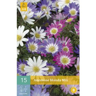 Compra ANÉMONA BLANDA MIX en la tienda online Fito Agrícola