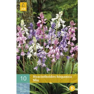 Compra HYACINTHOIDES HISPANICA MIX en la tienda online Fito Agrícola