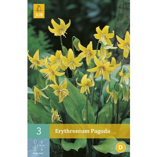 Compra ERYTHRONIUM PAGODA en la tienda online Fito Agrícola