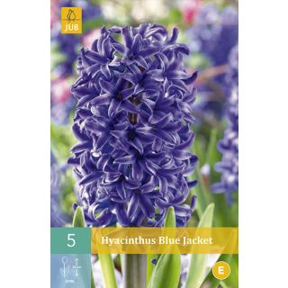 Compra JACINTOS BLUE JACKET en la tienda online Fito Agrícola