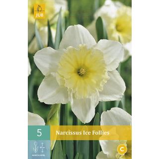 Compra NARCISOS ICE FOLLIES en la tienda online Fito Agrícola
