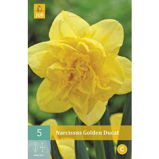 Compra NARCISOS GOLDEN DUCAT en la tienda online Fito Agrícola