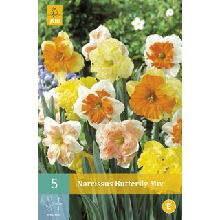 Compra NARCISOS BUTTERFLY MIX en la tienda online Fito Agrícola