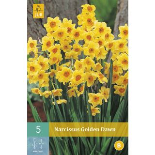 Compra NARCISOS GOLDEN DAWN en la tienda online Fito Agrícola