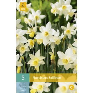 Compra NARCISOS SAILBOAT en la tienda online Fito Agrícola