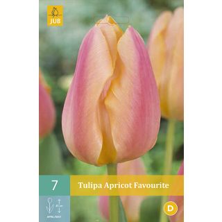 Compra TULIPÁN APRICOT FAVOURITE en la tienda online Fito Agrícola